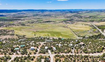 144 Pinon Hills Cir, Arboles, CO 81122