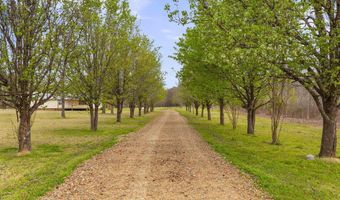 1144 Little Big Mound Rd, Bentonia, MS 39040
