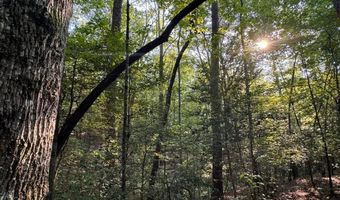 0 Military Rd, Beaverton, AL 35544