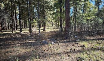 7 2190, Alpine, AZ 85920