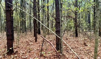 HWY 9, Bruce, MS 38915