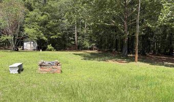 2950 Fountainville Rd, Andersonville, GA 31711