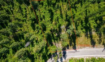 246 Trading Post Trl, Bigfork, MT 59911