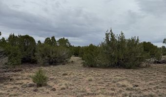 55 Ponderosa Dr, Concho, AZ 85924