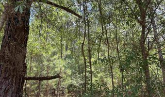 TBD Ervin Road Ervin Rd, Andrews, SC 29510