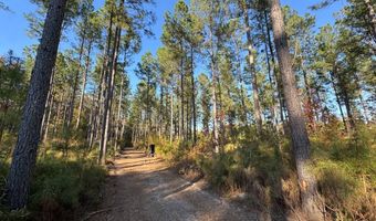 TBD Binnicker Bridge Road, Bamberg, SC 29003