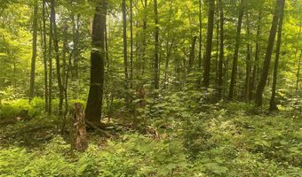 4973 Stryker Rd, Amity, NY 14813