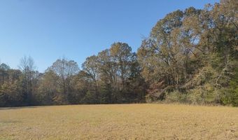 County Road 215, Abbeville, MS 38601