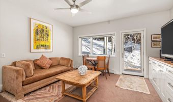 645 Willoughby Way, Aspen, CO 81611