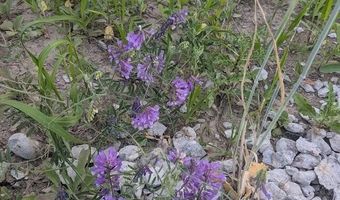 Edgewood Drive lot 5, Adams, WI 53910