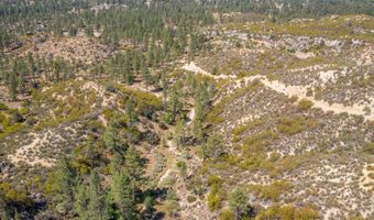 60833 Table Mountain Rd, Mountain Center, CA 92561