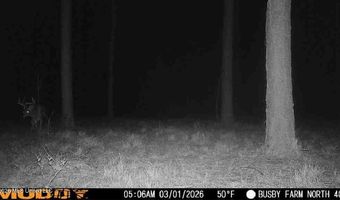 U.S. Highway 51, Bogue Chitto, MS 39629