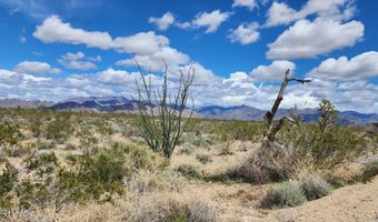 Lot 198 S Cholla / Cortaro Rd, Yucca, AZ 86438