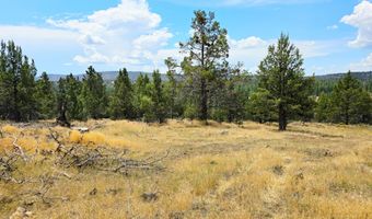 Canvasback Drive 28, Bonanza, OR 97623