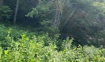 Lot 11 Wolf River Est Rd, Albany, KY 42602