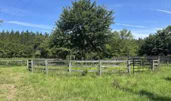 10886 Burtons Ferry Hwy, Allendale, SC 29810