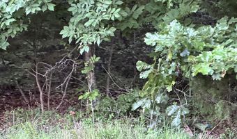 County Road 304, Alton, MO 65606
