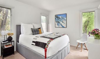 814 W Bleeker St C-1, Aspen, CO 81611