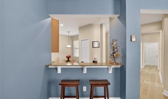 307 BLUEWATER FALLS Ct, Apollo Beach, FL 33572