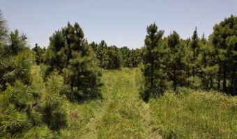 0001 E 1960 Rd, Antlers, OK 74523