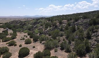 5 County Rd # 8095, Concho, AZ 85924