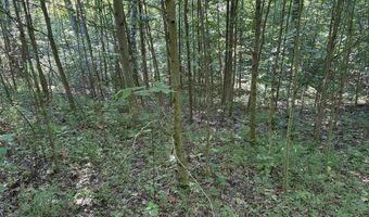 140 Ac Off Eastlake Dr, Bedford, IN 47421