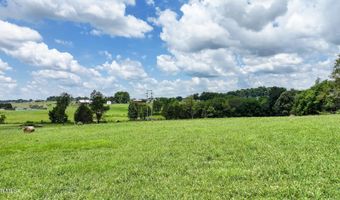 Chuckey Doak Road, Afton, TN 37616
