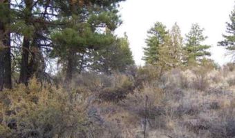 43056 Fuego Mt Dr, Beatty, OR 97621
