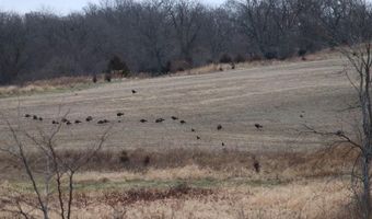 189 Th St, Albia, IA 52531