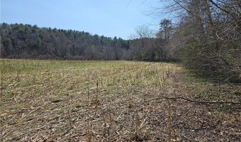 1827 Willis Gap Rd 104, Ararat, VA 24053
