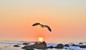 100 18th Ave Unit 2, 2nd Floor, Belmar, NJ 07719