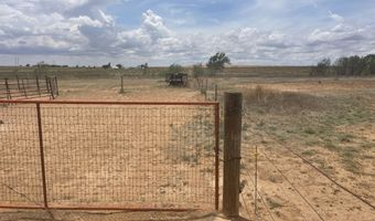 16903 N County Rd 2000, Abernathy, TX 79311