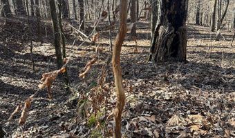 Cr 127, Abbeville, MS 38601