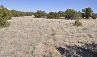 697 County Rd 9047, Concho, AZ 85924