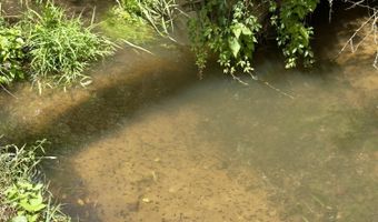 7120 N 127 Highway Lot Hwy, Albany, KY 42602