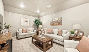 2017 Amber Gate Dr, Anna, TX 75409