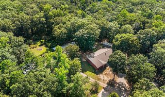 10823 Wyllia Rd, Benton, AR 72019