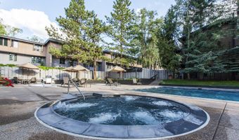 1039 E Cooper Ave 16A, Aspen, CO 81611