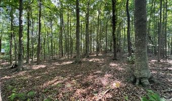 10 97 AC H R Huffer Ln, Allons, TN 38541