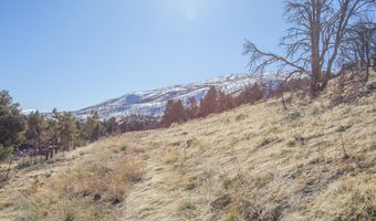 3221 Reese Ln, Gardnerville, NV 89410