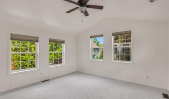355 Meadow Dr, Basalt, CO 81621