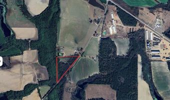 Reynold Griffin rd, Ambrose, GA 31512