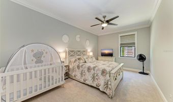 303 COCKLE SHELL Loop, Apollo Beach, FL 33572