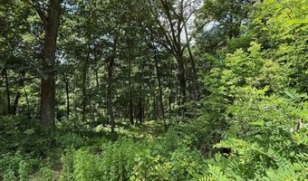 82 CABIN Rd, Augusta, WV 26704