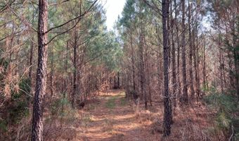 Cunningham Road, Bradley, SC 29819