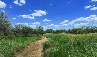 12415 County Road 356, Anson, TX 79501