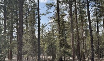 Bufflehead Drive TL 10, Bonanza, OR 97623