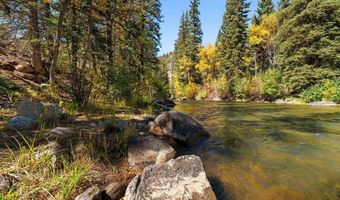 10817 And 10825 County Road 742, Almont, CO 81210
