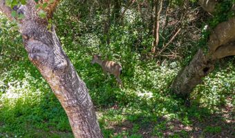 925 Old Farm Ln, Aptos, CA 95003