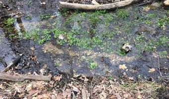 County Road P-305, Ava, MO 65608